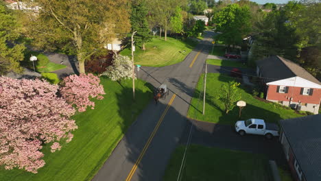 Amish-horse-and-buggy-carriage