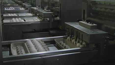 automated machinery processes cartons of eggs in a factory