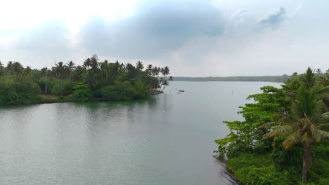 morning lakeshores with coconut trees