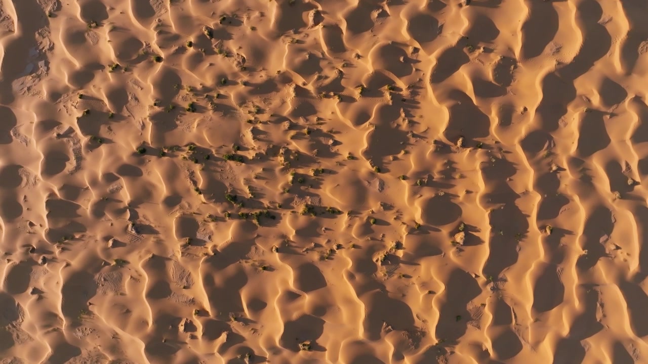 Vista aerea con drone di intricati disegni e increspature di sabbia nel Sahara tunisino al tramonto. Texture dell'ora d'oro di immense dune nel Grande Erg Orientale, che mostrano la bellezza naturale del deserto