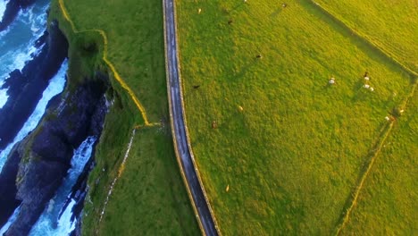 aerial del paisaje de west cork 4k