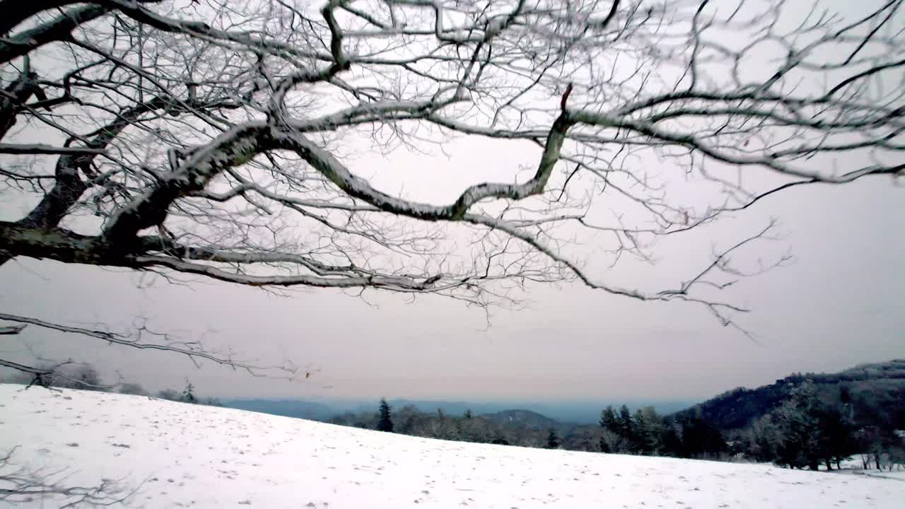 분 근처 겨울에 벌거 벗은 나무 가지의 공중 철수와 노스 캐롤라이나 주 바위 노스 캐롤라이나를 불고