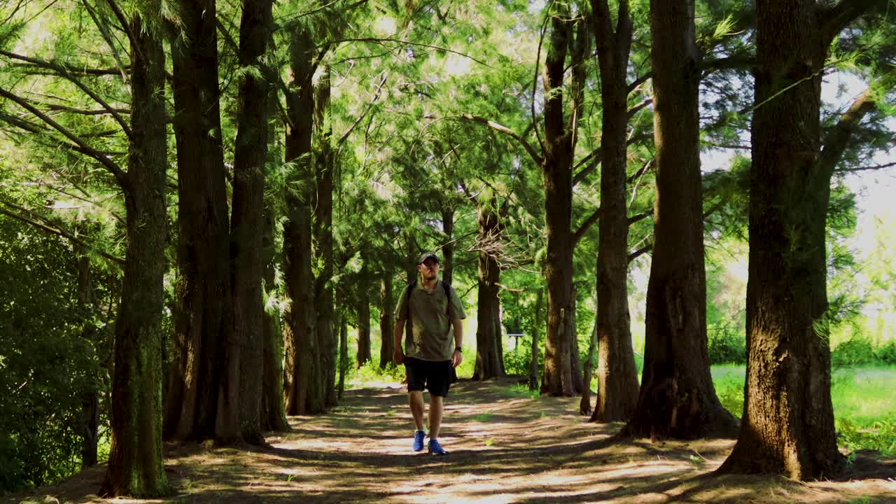 태양과 그림자가 있는 푸른 숲을 하이킹하는 남자