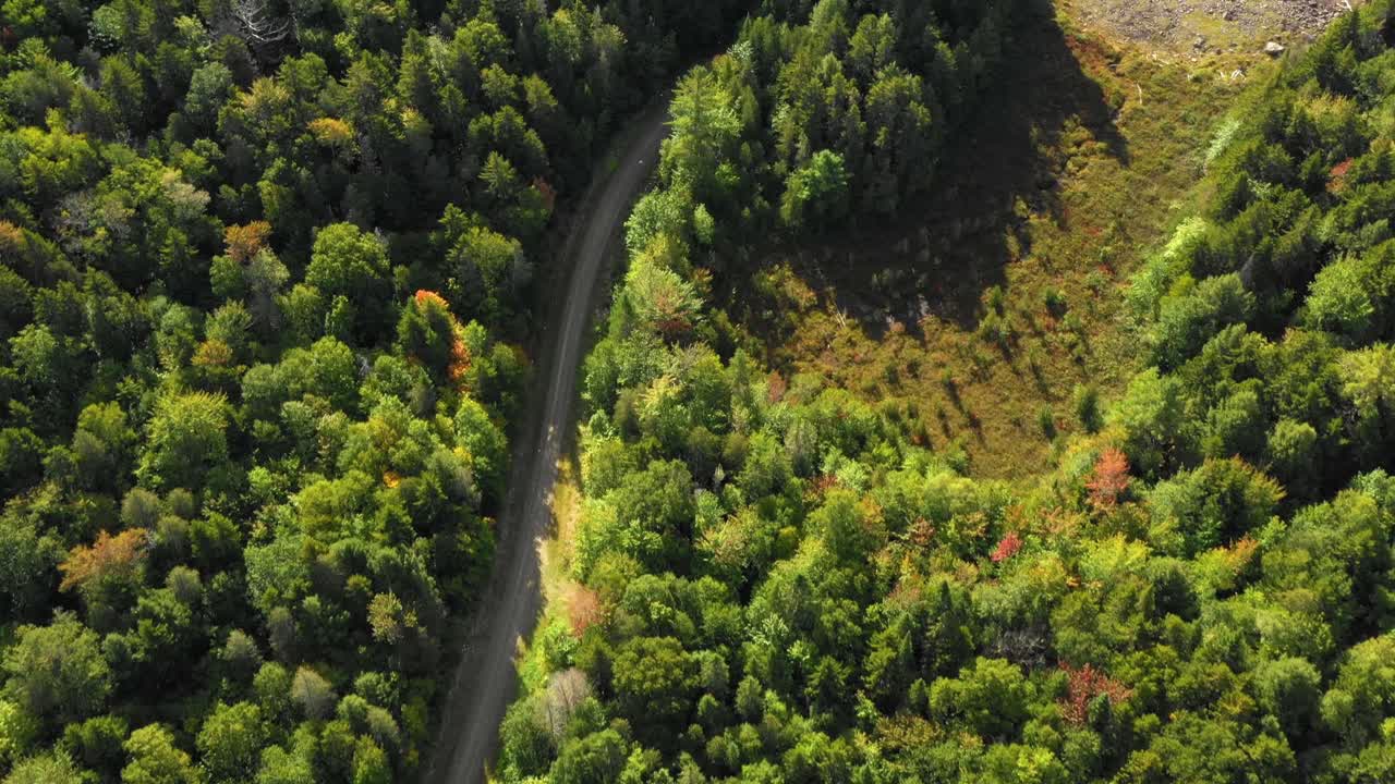 비포장 도로를 따라 북부 메인에 있는 외딴 숲의 초가을 공중 영상