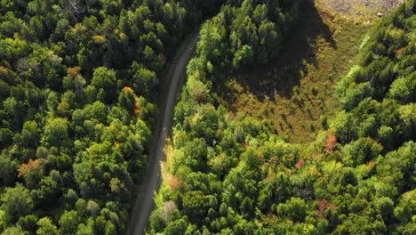 Imágenes-Aéreas-De-Principios-De-Otoño-De-Un-Bosque-Remoto-En-El-Norte-De-Maine-Siguiendo-Un-Camino-De-Tierra