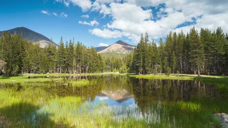 Mirror-Reflection-At-The-Pond-On-Summertime-In-Yosemite-National-Park,-USA