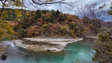 Turquoise waters of Sho River flowing through a colorful autumn forest in Shirakawa go, Japan, creating a breathtaking natural scenery