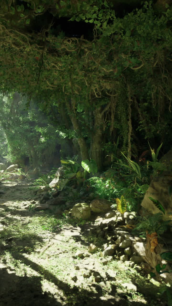 Exploring a vibrant jungle pathway filled with sunlight and lush greenery