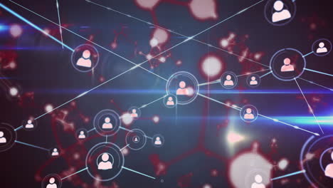 animación de la red de conexiones con los iconos de las personas