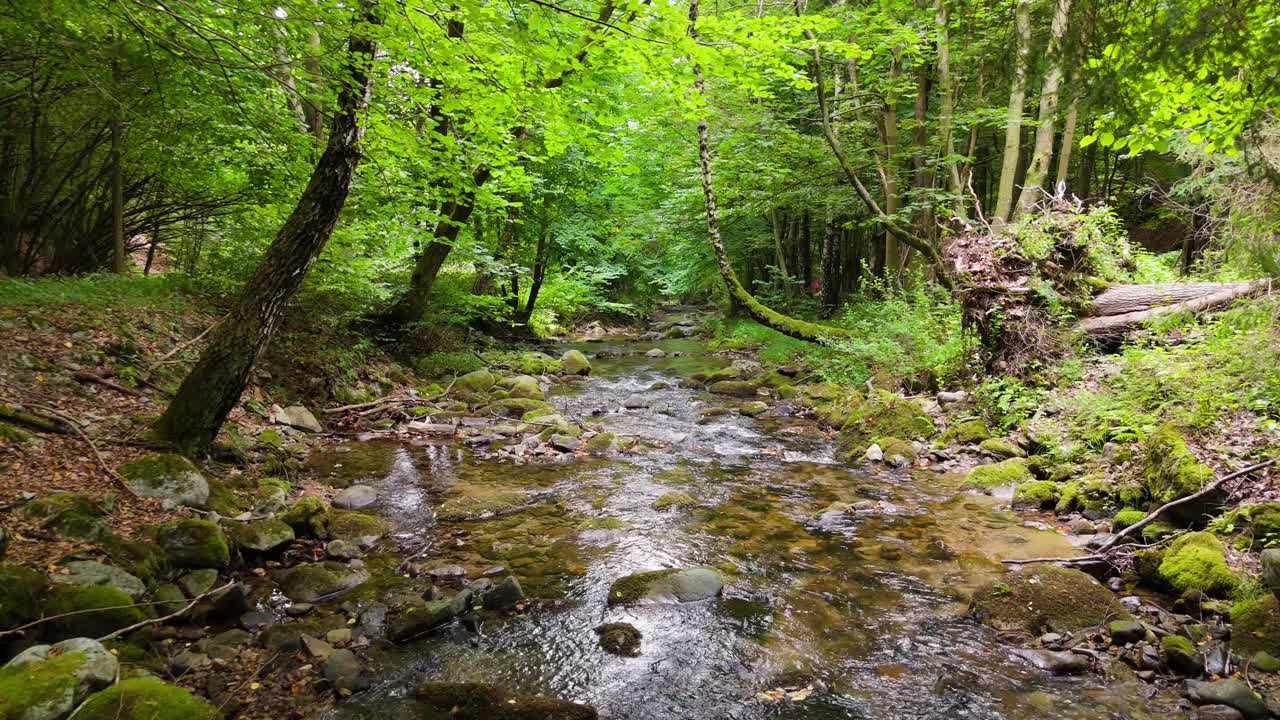 Vandresti gennem frodig skov, der fører til Sutovsky-vandfaldet i Mala Fatra, Slovakiet. Luftfoto af lille vandfald langs stien. Smuk natur, perfekt til rejse- og udendørseventyr-temaer