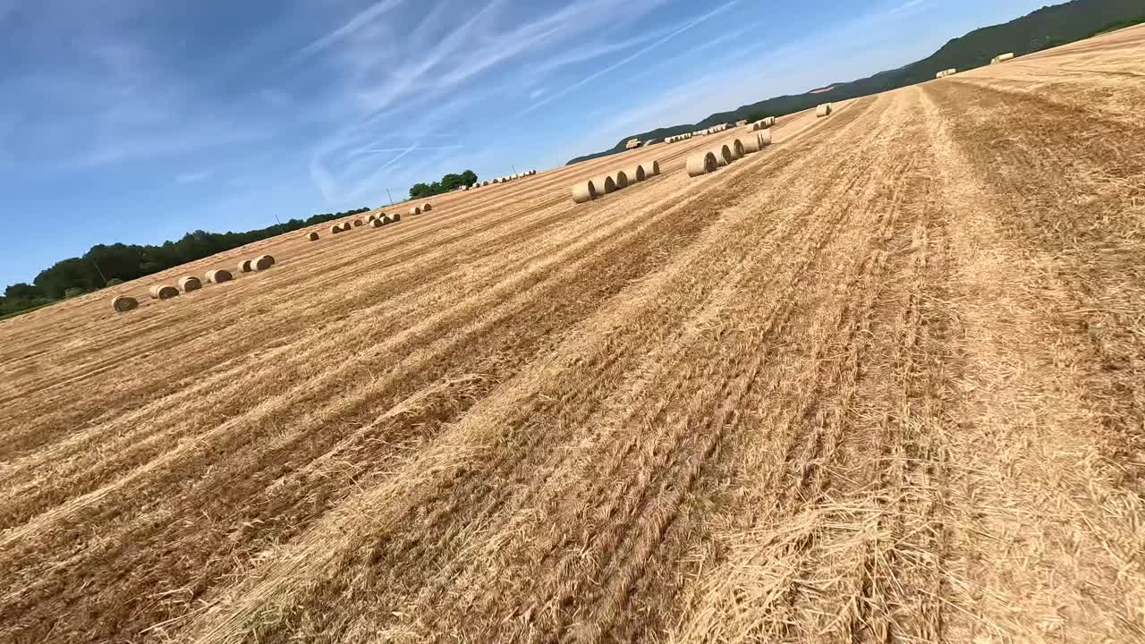 Smooth FPV drone footage flying low over a field with neatly aligned hay bales, showcasing the expansive agricultural landscape under a clear blue sky.