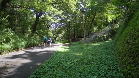 Cerca-Del-Lago-Tanaka-En-Tokio,-Japón,-Hay-Un-Gran-Parque-Que-En-Verano-Se-Llena-De-Verde-Intenso-Y-Es-Ideal-Para-Pasear-En-Pareja-Y-Hacer-Deporte