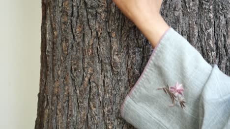 hand touching the bark of a tree