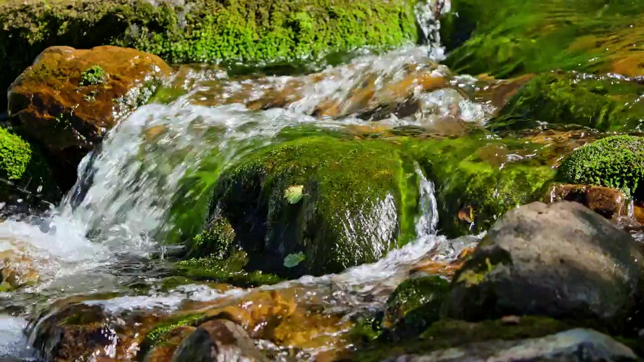 Fresh Water Cascading Over Moss-Covered Rocks in a Forest Stream