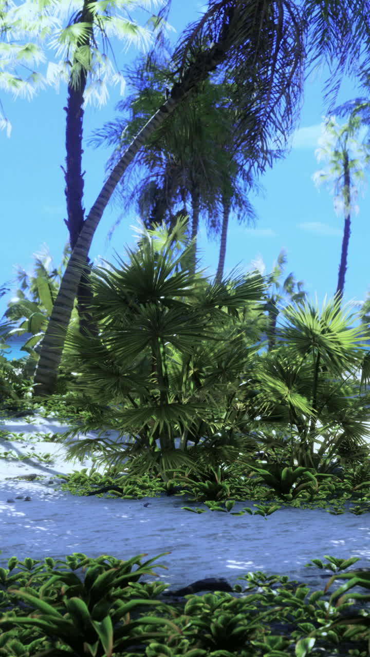 열대 해변 파라다이스