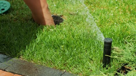 close-up turn-off watering the garden, grass and flowers in the park, water drops in the sunlight. automatic watering system for the grass and flowers. drops of water are splashed in the sunlight.