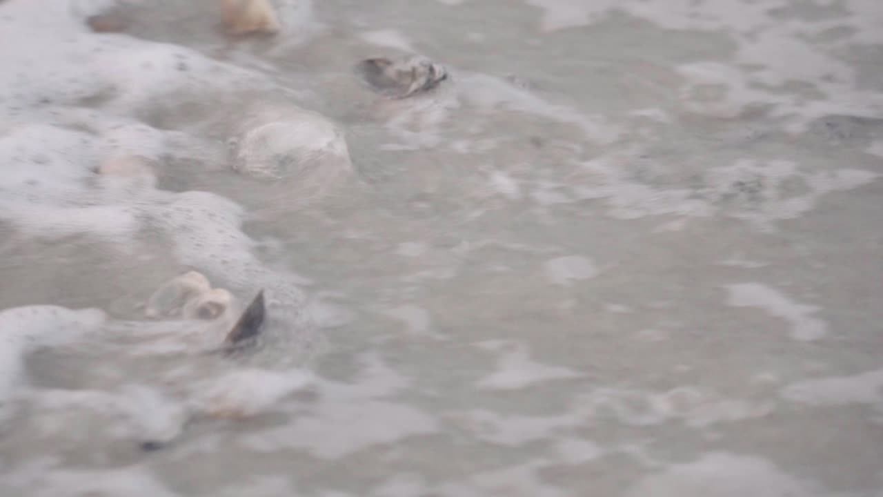 가까이, 바다 조수가 해변에서 홍합 조개껍질 위로 씻겨나가고, 슬로우 모션