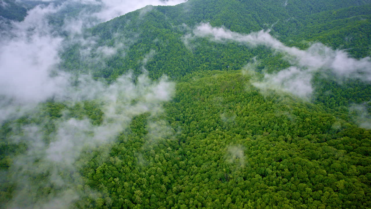 Drone flight through the dreamy fog of the Great Smokies