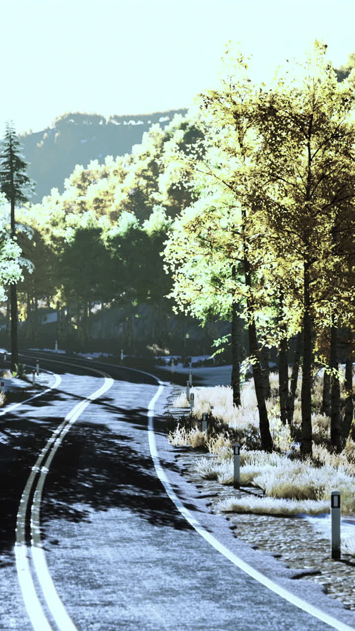 숲 을 가로지르는 휘어지는 길