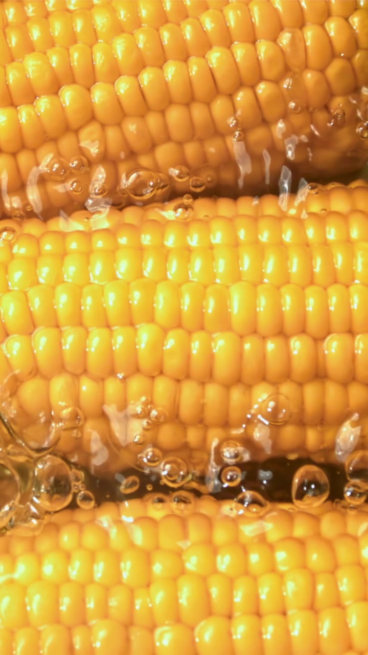 Vibrant Yellow Corn Cobs Boiling in Water with Bubbles