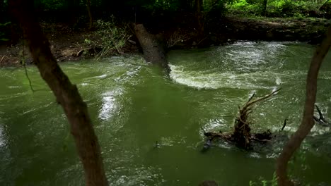 A-shot-of-a-fast-flowing-water-tributary-known-as-the-Olifantspruit,-the-water-level-high-from-recent-heavy-rainfalls-pushing-debris-and-foliage-downstream,-Limpopo,-South-Africa