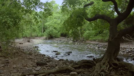 corriente que fluye a través de la jungla para el desierto urbano