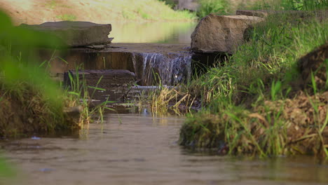 a small waterfall nestled in the heart of the forest - close up