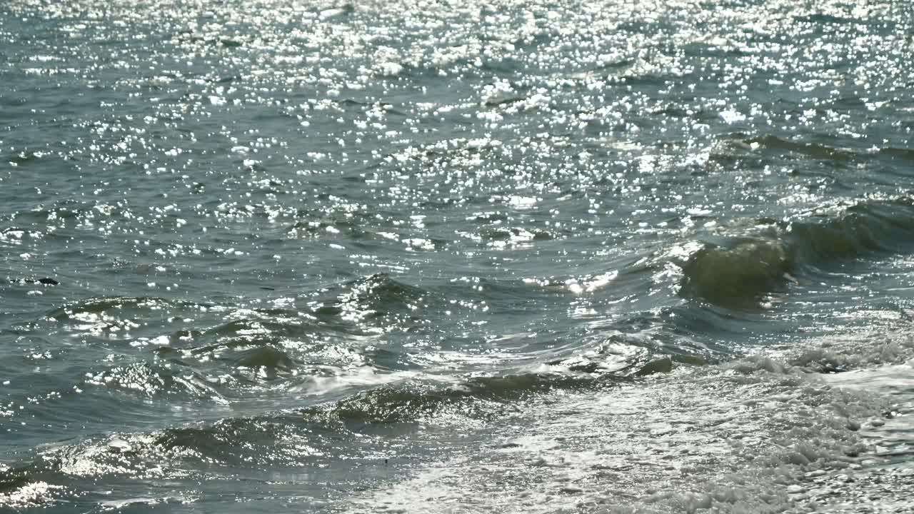 느린 동작으로 아름다운 반이는 바다의 근접