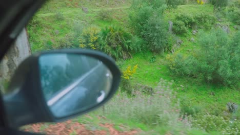 Rearview-mirror,-driving-through-a-forest