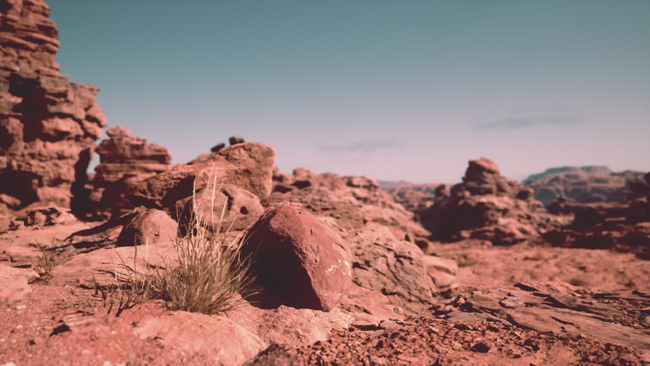 은 바위 사막 풍경