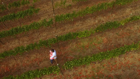 Drone-footage-of-couple-hugging