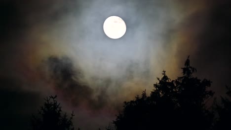 nature's harmony: moon, wind and trees in the stormy night