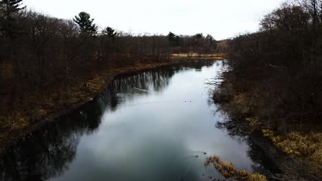 Water-fowl-in-fall-on-glassy-water