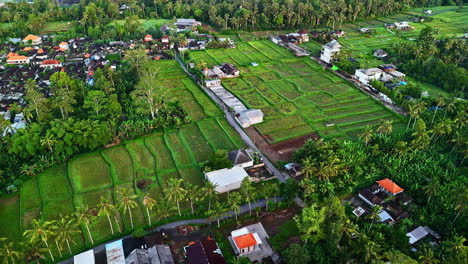 beautiful bali village with tropical green surroundings, aerial view