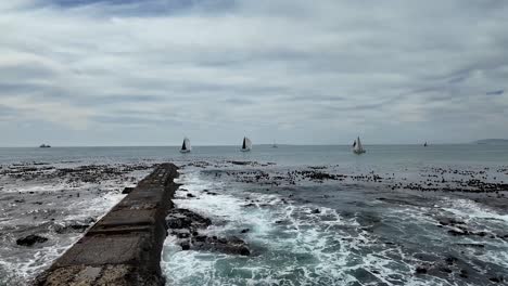 sailboats on a choppy sea near a stone jetty, cape town, south africa.