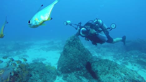 un vídeo de un camarógrafo submarino tomando fotografías en el océano de vida marina con equipo y luces submarinos