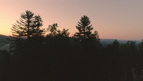 Red-Glowing-Sunrise-Behind-Trees---Aerial