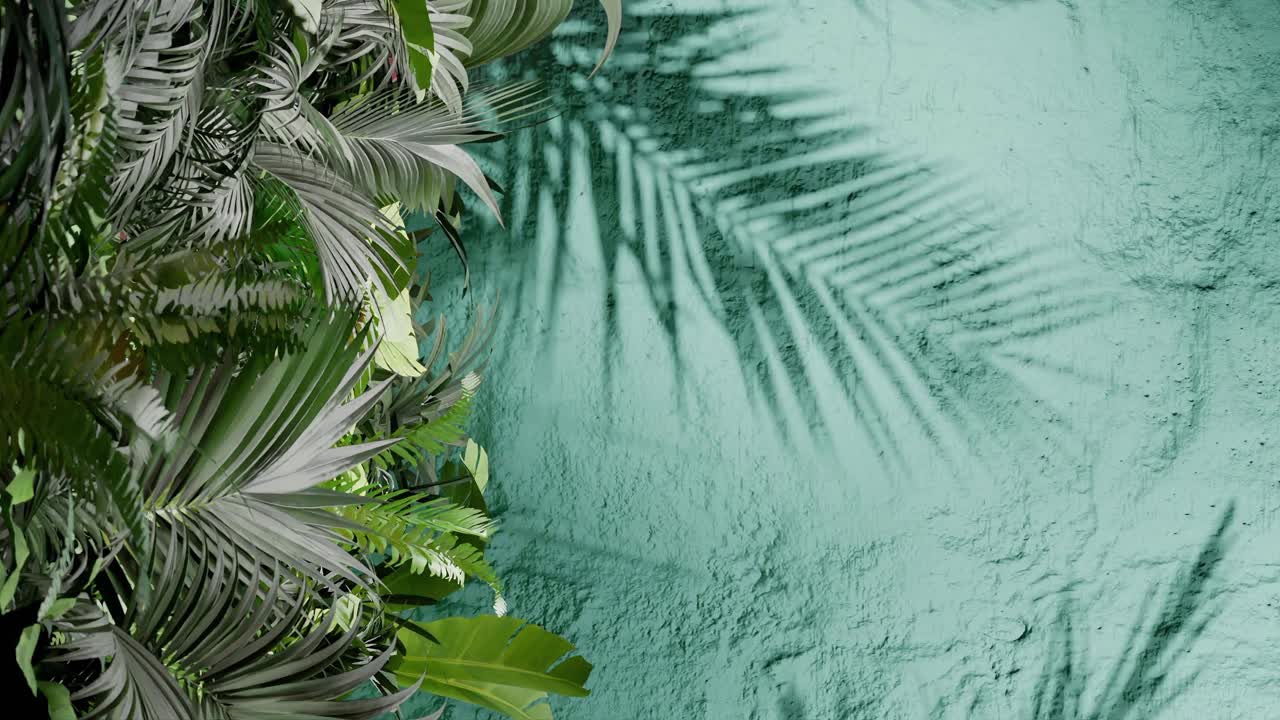 Tropical green palm leaves on the left with leaf shadows on a textured green wall. Natural jungle foliage composition. Flat lay composition with copy space. Summer and nature, wallpaper vertical