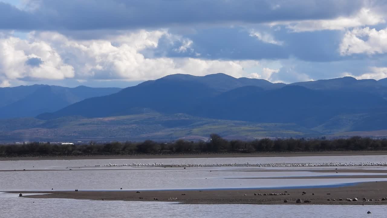 Serene lake timelapse: Seagulls gather by tranquil waters, framed by lush mountains and drifting clouds in this captivating stock footage
