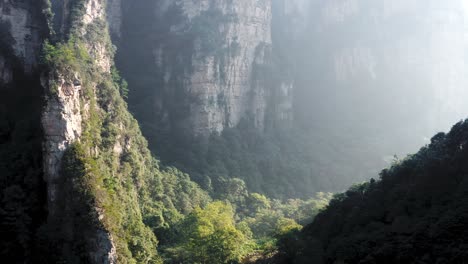 sunlight glows glistening on trees at valley floor in zhangjiajie, wulingyuan hunan china, aerial pedestal around shadowed forest