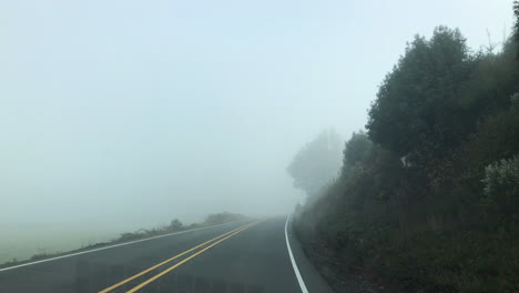 driving in dangerous foggy weather conditions on highway, as seen from inside the car