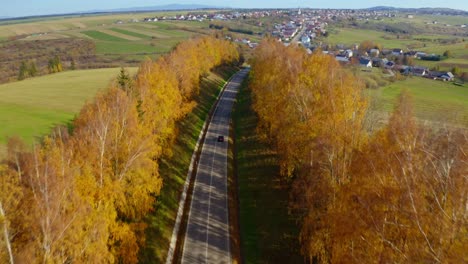 Car-Driving-on-forest-road-in-Autumn-drone-tilt-up-reveal