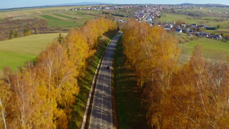 Auto-Fährt-Auf-Forststraße-Im-Herbst,-Drohne-Kippt-Nach-Oben,-Enthüllt