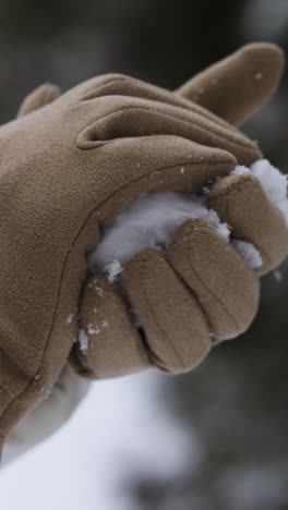 person playing with snow