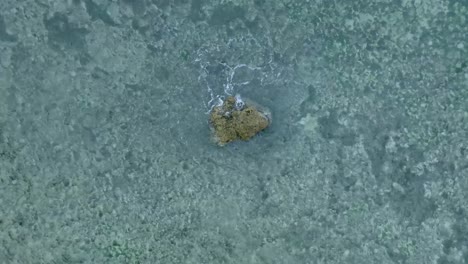 top down slow motion rotating drone view of waves crashing over shallow coral reef and big rock in uluwatu bali indonesia