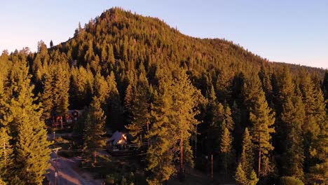drone shot of the mountain and trees