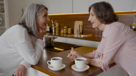 Two-Older-Woman-Friends-Talking-While-Drinking-Coffee-In-The-Kitchen