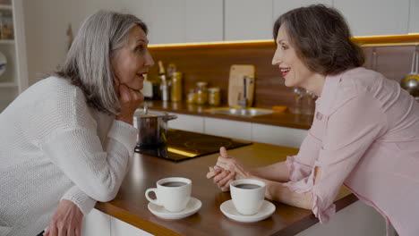 Dos-Amigas-Mayores-Hablando-Mientras-Toman-Café-En-La-Cocina