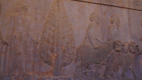 panning right | people giving tributes relief | ancient ruins of persepolis near shiraz, southern iran. this walls's relief shows many things in the past of persian empire | silk road iran