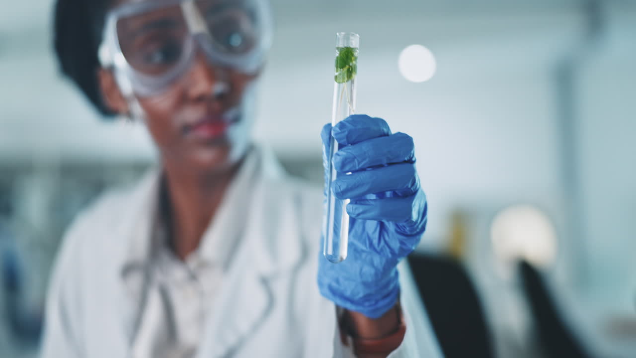 Test tube, plant and science